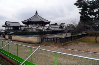 興福寺 興善院土塀修理